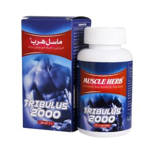 ماسل هرب
